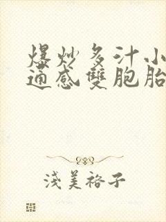 爆炒多汁小美人通感双胞胎