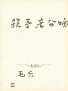 杀手老公吻上瘾