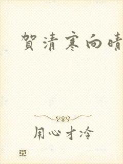 贺清寒向晴小说