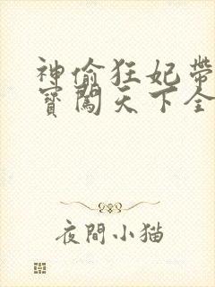 神偷狂妃带着宝宝闯天下全文免费阅读