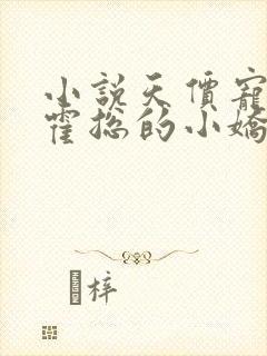 小说天价宠妻:霍总的小娇妻