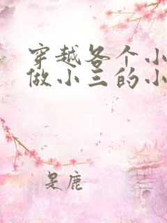 穿越各个小世界做小三的小说