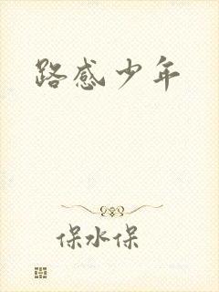 路感少年