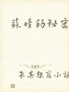 苏晴的秘密小说