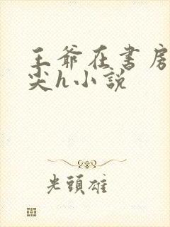 王爷在书房含乳尖h小说