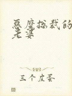 恶魔总裁的宝贝老婆