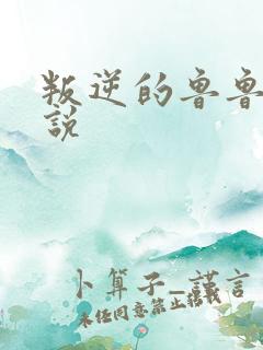 叛逆的鲁鲁修小说