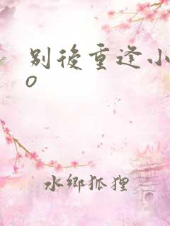 别后重逢小说po