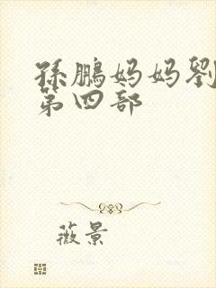 孙鹏妈妈刘淑英第四部