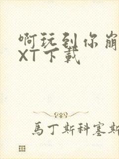 啊玩到你崩溃TXT下载