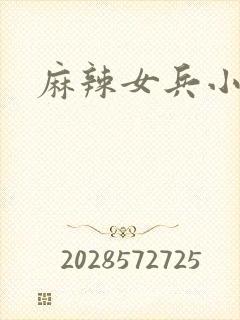 麻辣女兵小说版