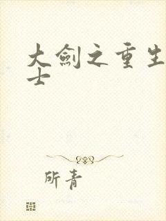 大剑之重生圣骑士