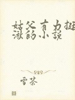 姑父有力挺送徐湫的小说