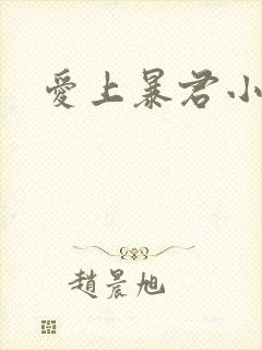 爱上暴君小甜心