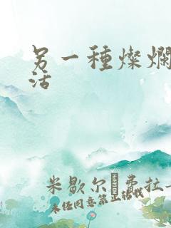 另一种灿烂的生活