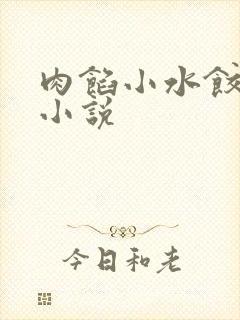 肉馅小水饺写的小说