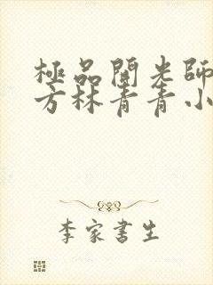 极品开光师李南方林青青小说免费阅读