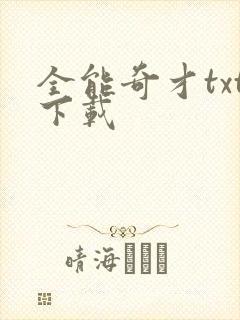 全能奇才txt下载