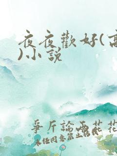 夜夜欢好(高h)小说