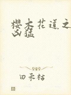 樱木花道之重生凶猛