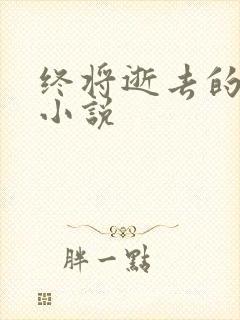 终将逝去的青春小说