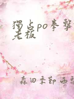 独占po拳击馆老板