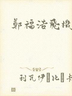 郑福浩飞机坠海