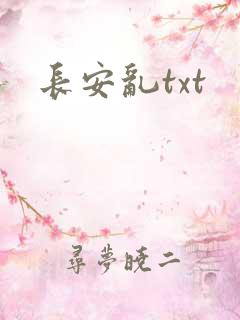 长安乱txt