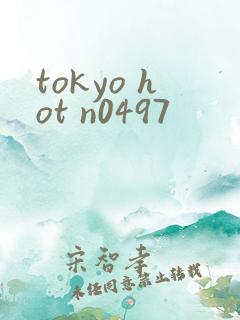 tokyo hot n0497