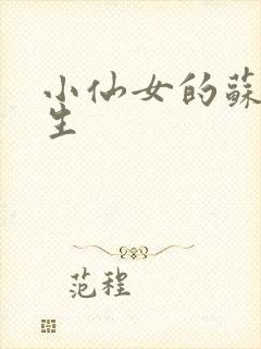 小仙女的苏撩先生