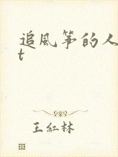 追风筝的人txt