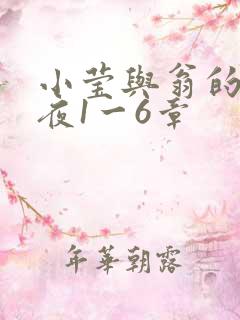 小莹与翁的销魂夜1一6章