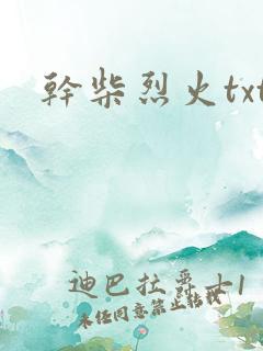 干柴烈火txt