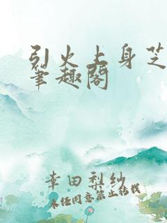 引火上身芝麻糖笔趣阁