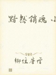 黯然销魂 小说