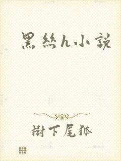 黑丝h小说