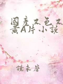 国产又色又爽又黄A片小说