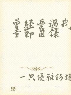 曾经爱过我刘念章节目录