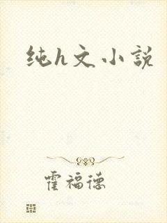 纯h文小说