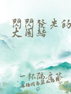 闪闪发光的小说大团结