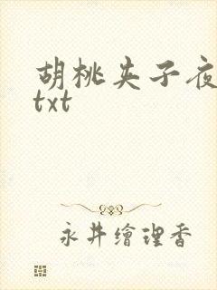 胡桃夹子夜未眠txt