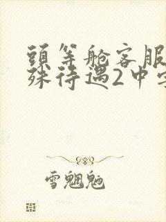 头等舱客服的特殊待遇2中字