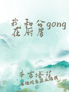 我和公gong在厨房