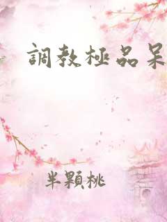 调教极品呆夫
