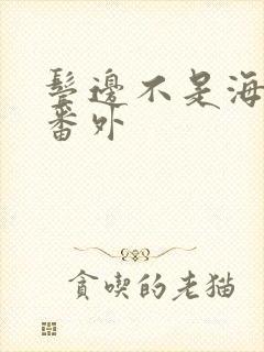 鬓边不是海棠红番外