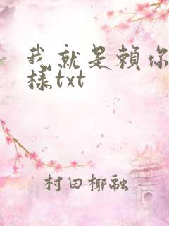 我就是赖你 怎样txt