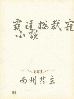 霸道总裁宠上天 小说