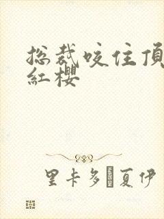 总裁咬住顶端的红樱