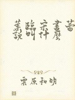 叶临宋书蕾的小说叫什么