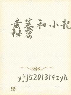 黄蓉和小龙女的秘密